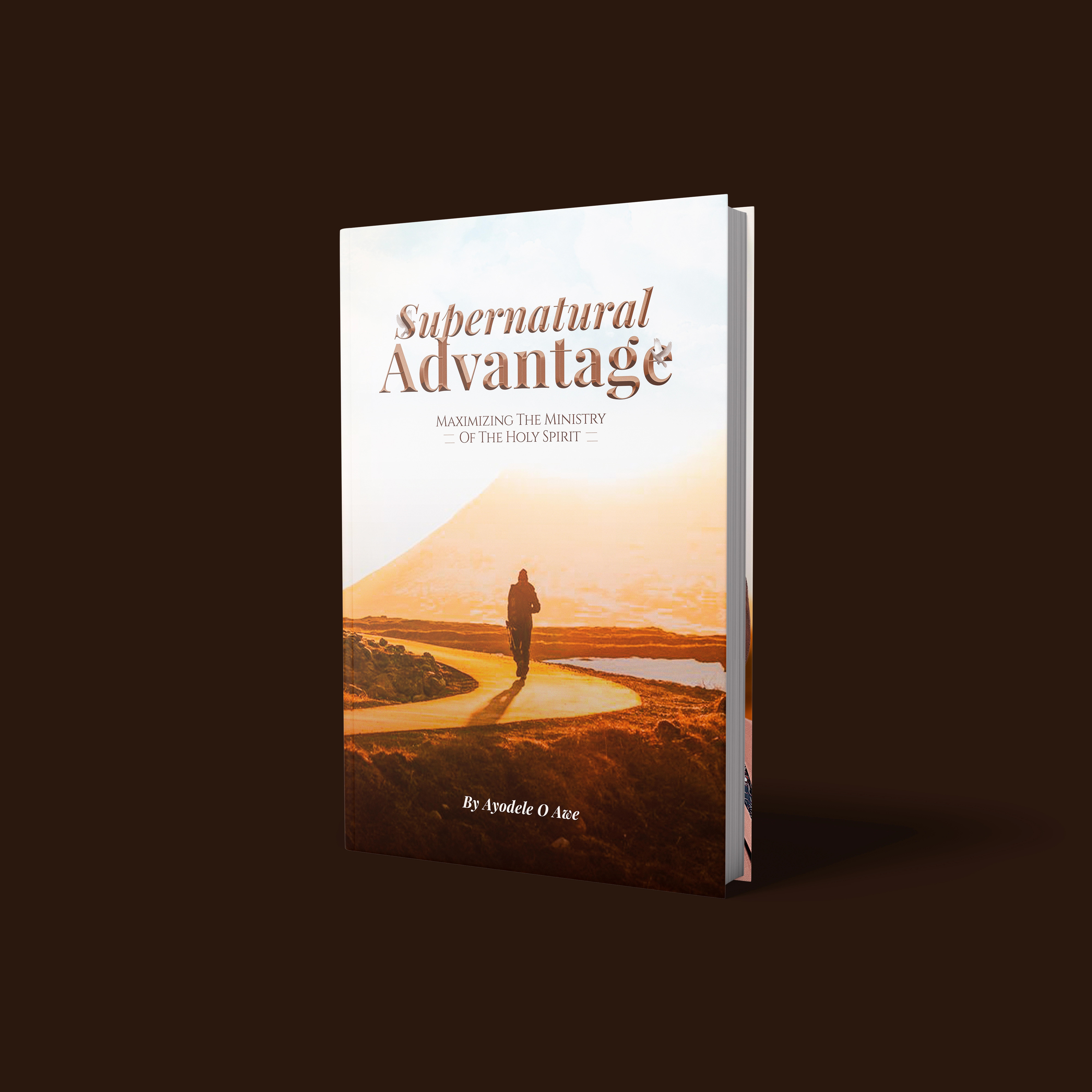 A book cover designed to visually express the believer's journey with the
                        Holy Spirit, capturing the promise of divine guidance, purpose, and spiritual
                        transformation.